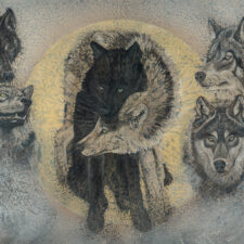 Timber | 36 x 58" rice paper, earth pigments, encaustic, oil on canvas